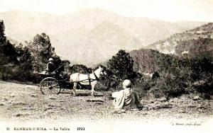 Hammam-R'Hira - Vallee - 1911